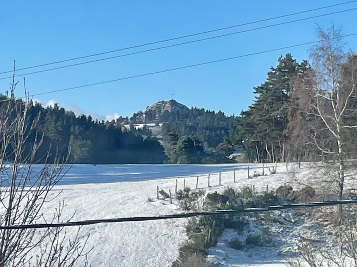 Grand Peyrau Aubrac Loup Gevaudan Lozere A75 *